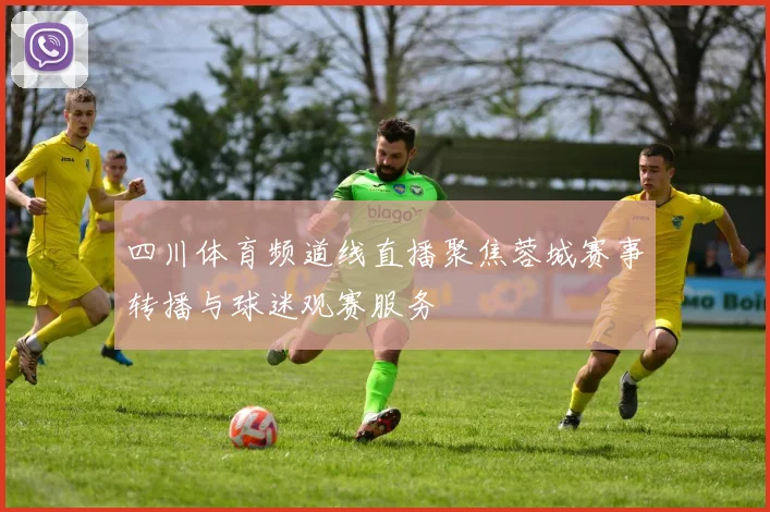 四川体育频道线直播聚焦蓉城赛事转播与球迷观赛服务