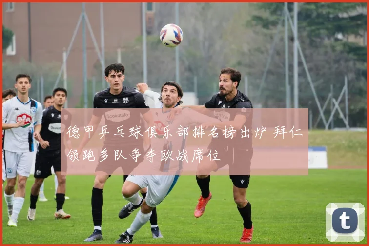 德甲乒乓球俱乐部排名榜出炉 拜仁领跑多队争夺欧战席位