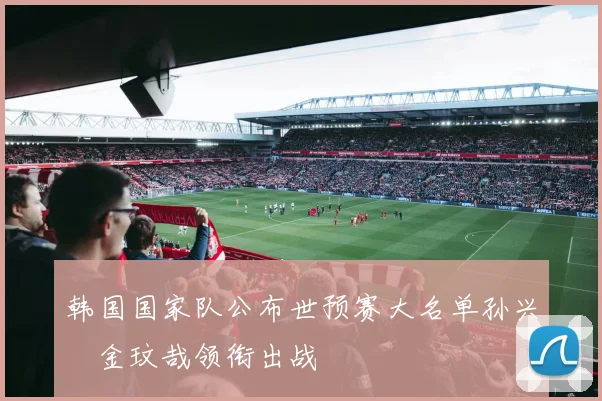 韩国国家队公布世预赛大名单孙兴慜金玟哉领衔出战