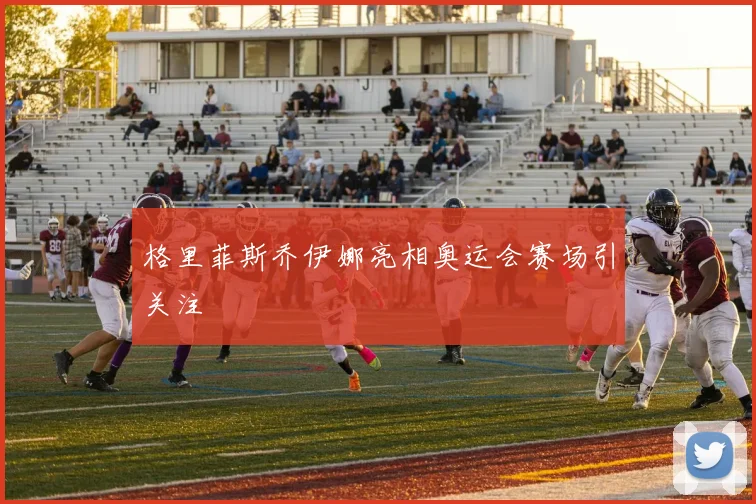 格里菲斯乔伊娜亮相奥运会赛场引关注