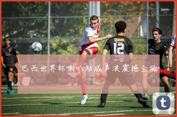 巴西世界杯喇叭助威声浪震撼全场